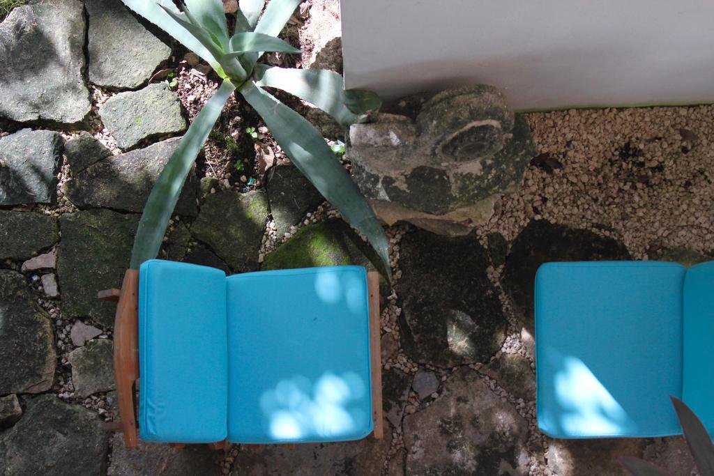 فندق Corazon De Jade تولوم المظهر الخارجي الصورة